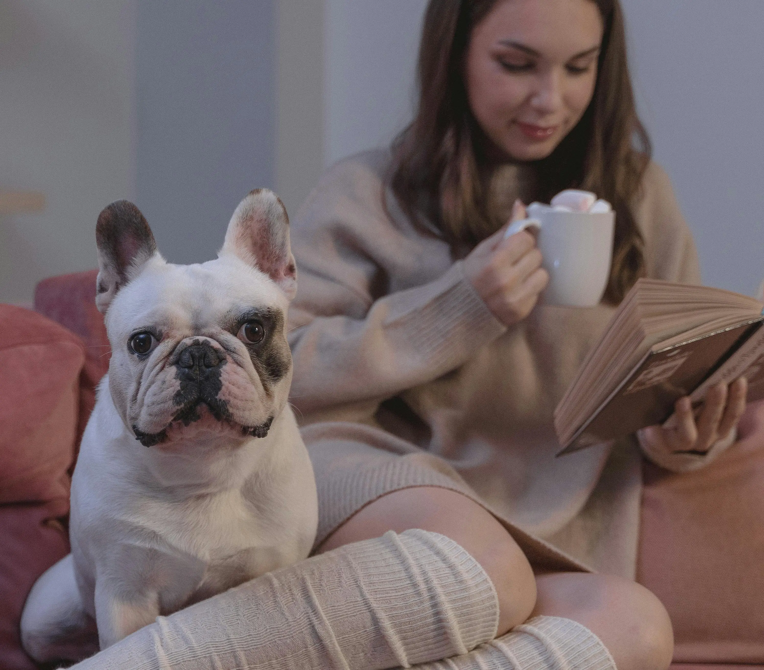 Girl reading a book with dog beside her